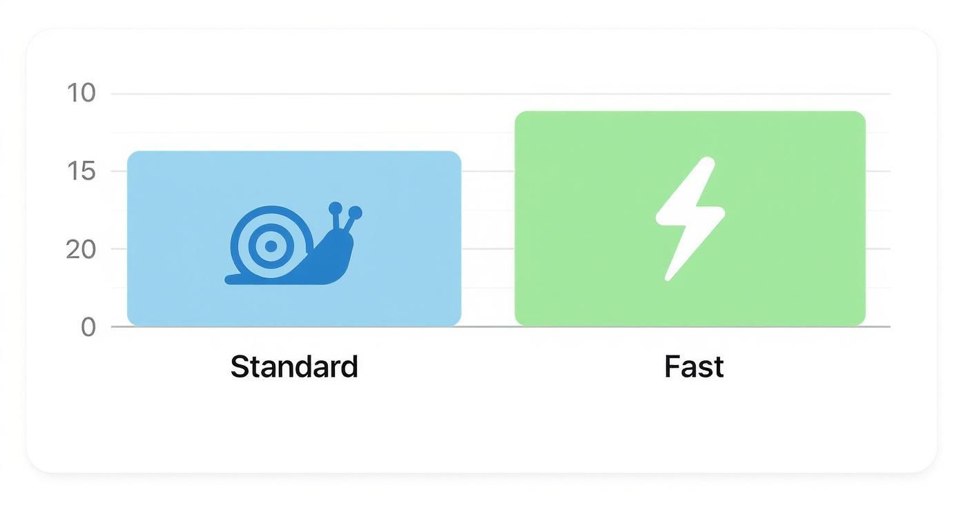 Infographic about what is fast charging