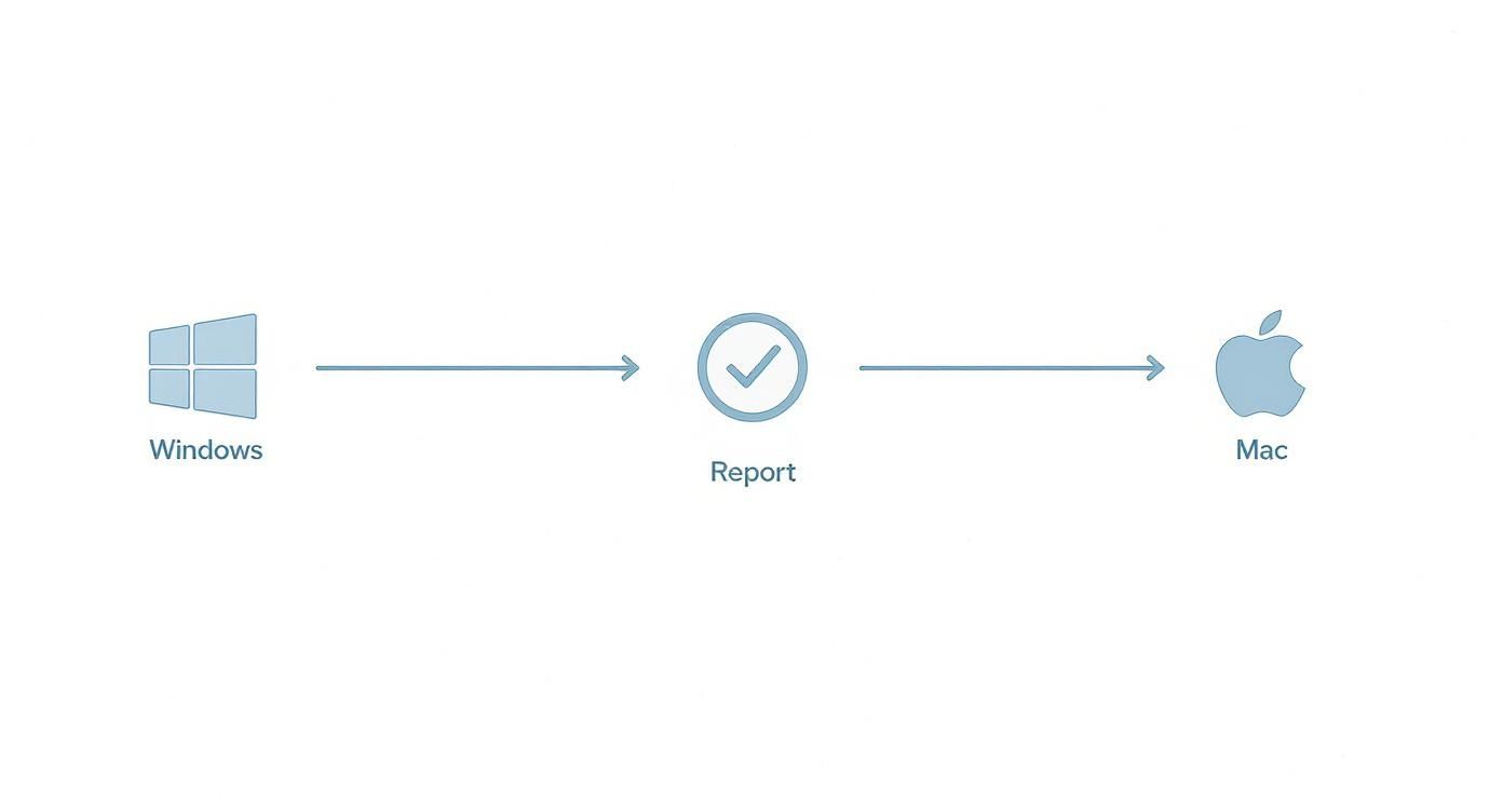 Workflow diagram showing data transfer from Windows through Report validation to Mac system